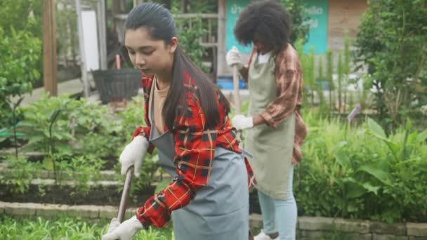 Children boy and girl using shovel dig soil for plants in the garden, active of child using spade doing agriculture together at backyard, spring and season, cultivate and harvest, active of volunteer. - Footage, Video