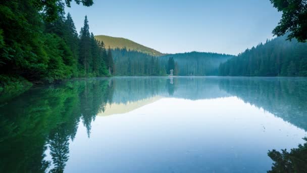 Prachtige natuur en een prachtig landschap met weelderige groene bossen en vegetatie rond de parel van de Karpaten - Lake Synevyr. Karpaten in Oekraïne. Mystieke mist over de grote sparren. Hoog - Video