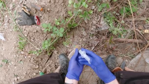 Αφαίρεση αγκαθιών με ένεση σύριγγας ζιζανιοκτόνων - Πλάνα, βίντεο