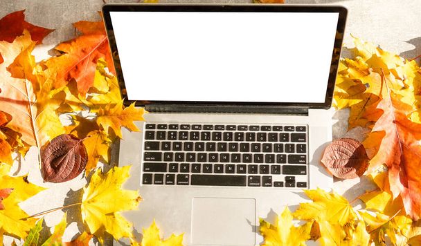 Laptop s prázdnou obrazovkou stojí na nádvoří krásné domácí zahrady, ve slunečném počasí - Fotografie, Obrázek