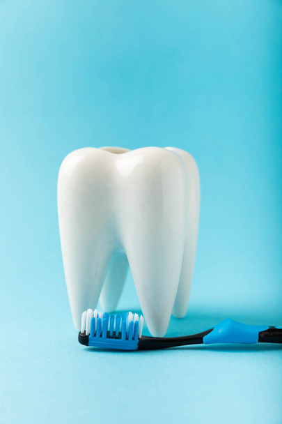 Reinigungsmodell eines weißen Zahnes mit einer Zahnbürste auf blauem Hintergrund. Das Konzept der Zahnhygiene. Prävention von Plaque und Zahnfleischerkrankungen. MOCKUP - Foto, Bild