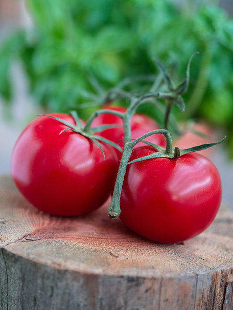 Arka planda fesleğenli domates - Fotoğraf, Görsel