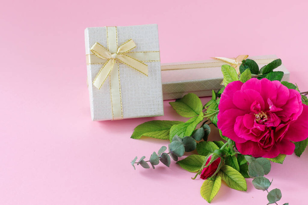 Beautiful pink rose with green foliage with golden gift box on  delicate paper background. Mother's Day Greeting Card. With empty place for your text - Zdjęcie, obraz