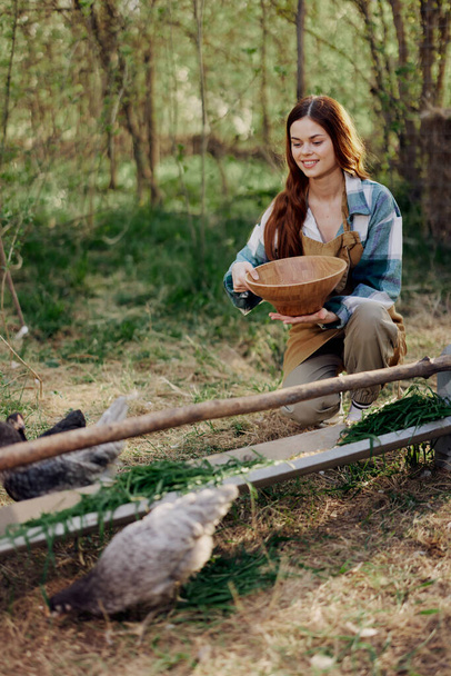 Женщина-фермер улыбается и наливает еду птицам в кормушку для птиц на птицеферме. Высокое качество фото - Фото, изображение