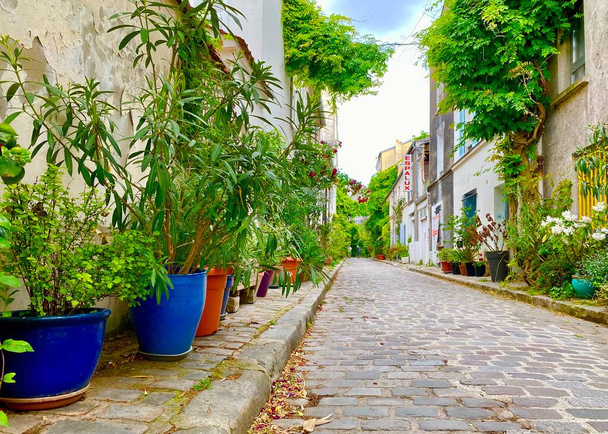 Paris 14. Bölge 'de, Termopyles caddesinin güzel yeşil sokağında çiçekli pencere. - Fotoğraf, Görsel