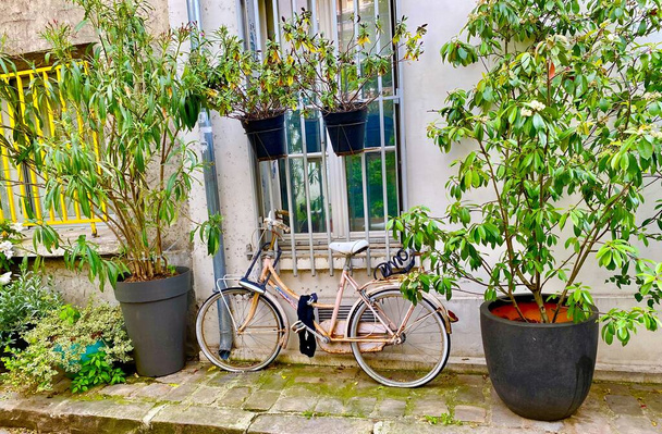 Окно с цветами на красивой зеленой улице rue de Termopyles в 14 округе Парижа - Фото, изображение