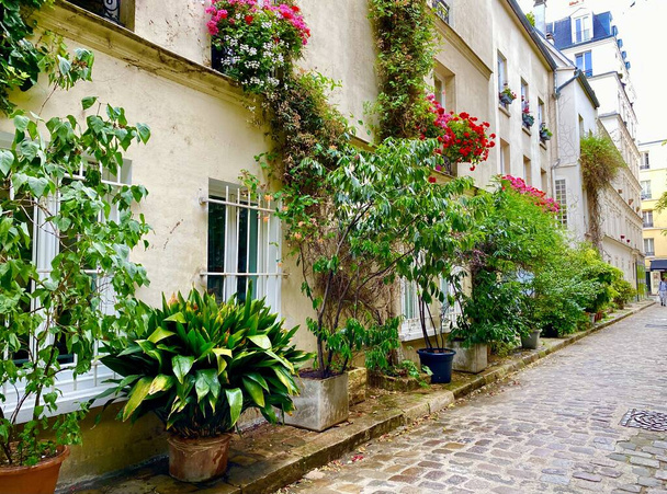 パリの美しい緑の通りに花が咲く窓14区 - 写真・画像
