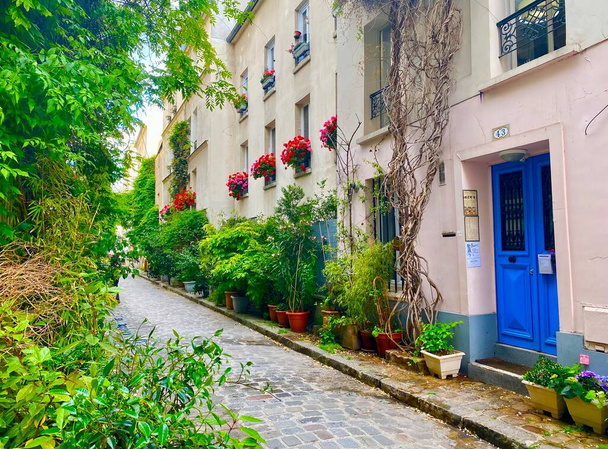 Fenêtre fleurie sur la belle rue verte de la rue de Termopyles dans le 14ème arrondissement de Paris - Photo, image