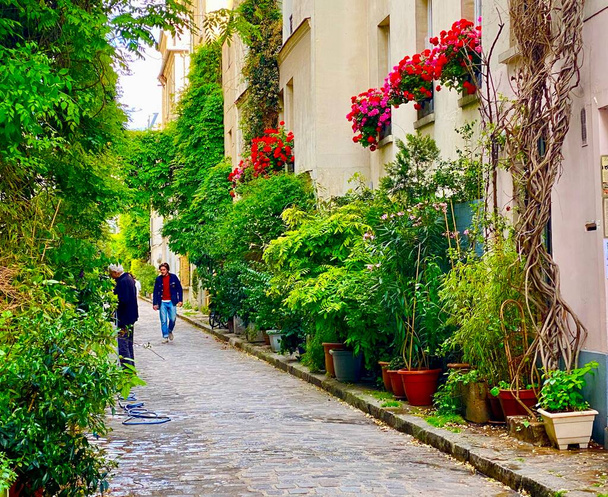 パリの美しい緑の通りに花が咲く窓14区 - 写真・画像