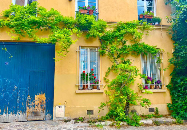 Fenêtre fleurie sur la belle rue verte de la rue de Termopyles dans le 14ème arrondissement de Paris - Photo, image