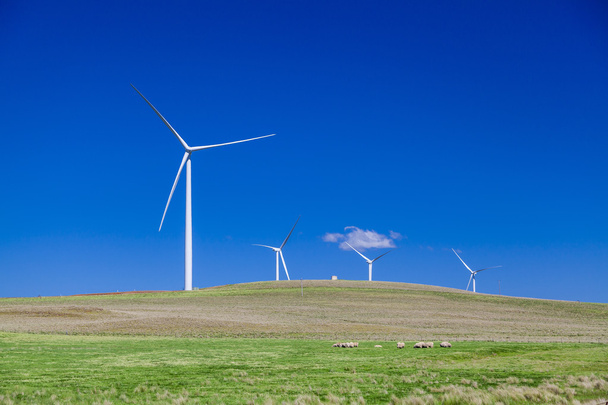 Wind turbines - Photo, Image