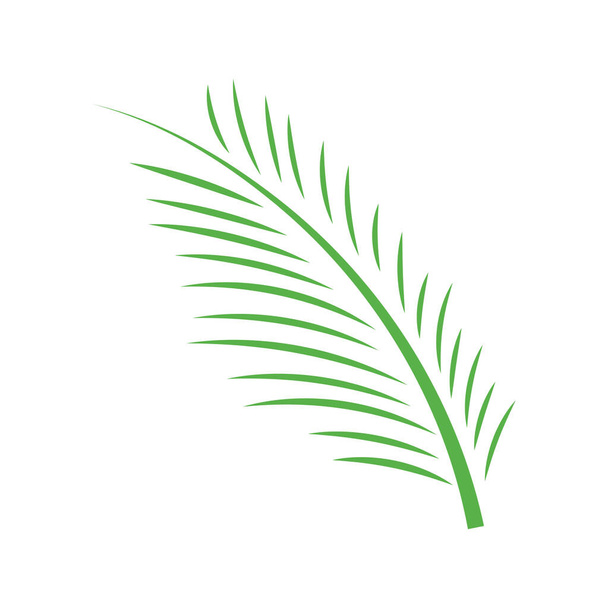 illustration vectorielle de modèle de conception d'icône de feuille de palmier areca - Vecteur, image