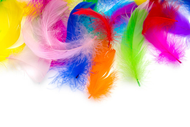 Multicolored feathers on a white background - Photo, Image