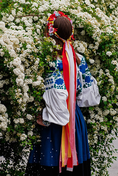 Kilátás hátulról. A lány bement egy virágzó fehér bokorba. A lánynak koszorú van a fején fényes kötéssel. Egy ukrán vyshyvanka-i nő portréja. - Fotó, kép