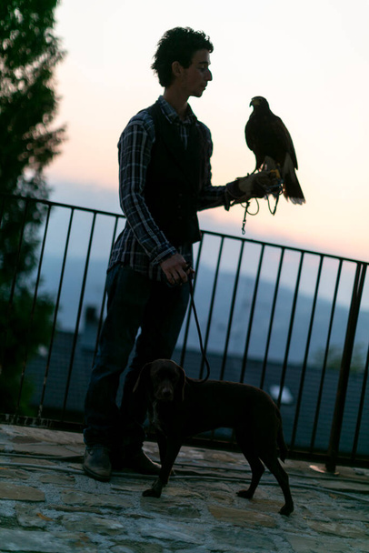 valkenier met Harris buizerd op zijn arm en jachthond. Hoge kwaliteit foto - Foto, afbeelding