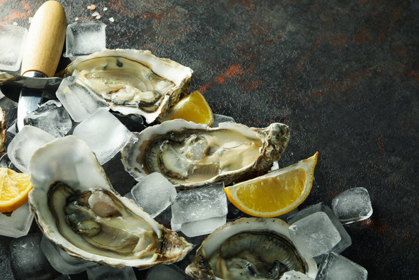 Concept of seafood, oysters, space for text - Photo, Image