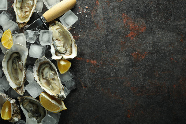 Concept of seafood, oysters, space for text - Foto, Imagen