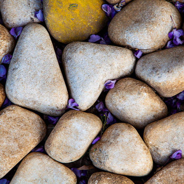 Luz hermoso mar redondeado piedras fondo con flores de glicina - Foto, Imagen