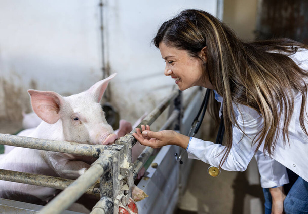 Joven mujer bonita veterinario acurrucar lechón en la pluma de cerdo en la granja - Foto, Imagen