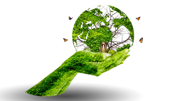 Дерево з листям світу карта, концепція, навколишнє середовище, врятувати світ
 - Фото, зображення