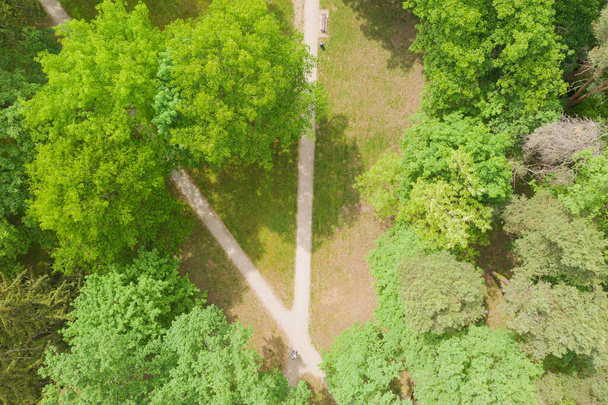 A manor park in the city of Iowa, in western Poland, seen from above. You can see alleys crossing the park, green lawns and tall trees. Photo from the drone. - Foto, Imagen