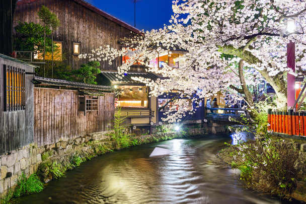 Kyoto, Japonya bahar River View - Fotoğraf, Görsel