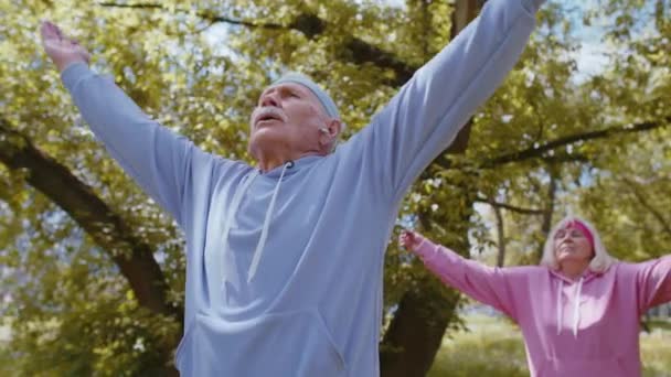 Athletic fitness senior sport man woman grandparents group practicing yoga cardio workout in park - Footage, Video