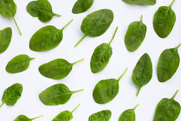 Spinach leaves on white background. - 写真・画像