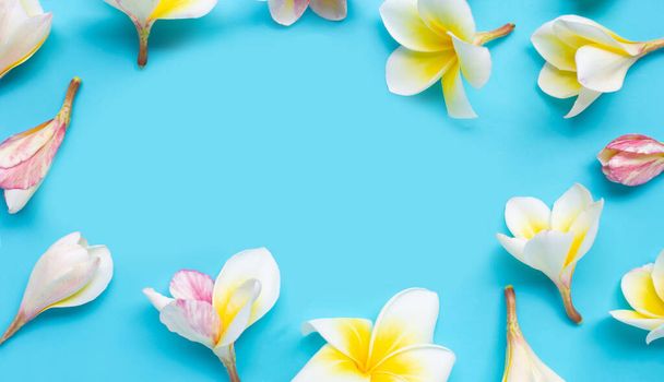 Frame made of plumeria or frangipani flower on blue background. Top view - Photo, image