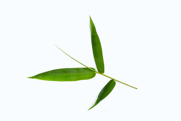 Bamboo leaves on white background. - Foto, afbeelding