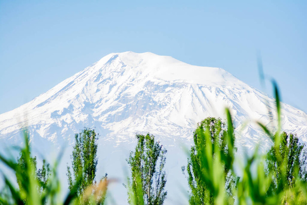 Piękna góra z białym dachem. Zielona trawa i drzewa na tle góry Ararat - Zdjęcie, obraz