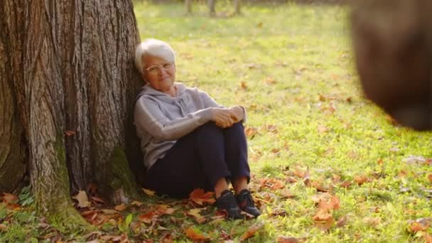Donna dai capelli grigi sta riposando sotto l'albero nel parco, autunno, pieno fuoco selettivo colpo. Filmati 4k di alta qualità - Filmati, video
