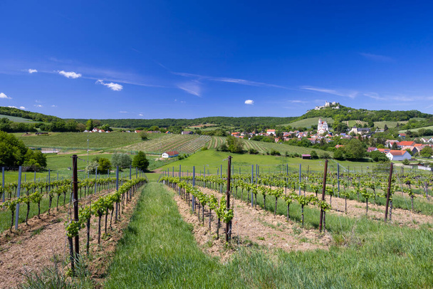 Zřícenina Falkensteinu a město s vinicí, Dolní Rakousko, Rakousko - Fotografie, Obrázek
