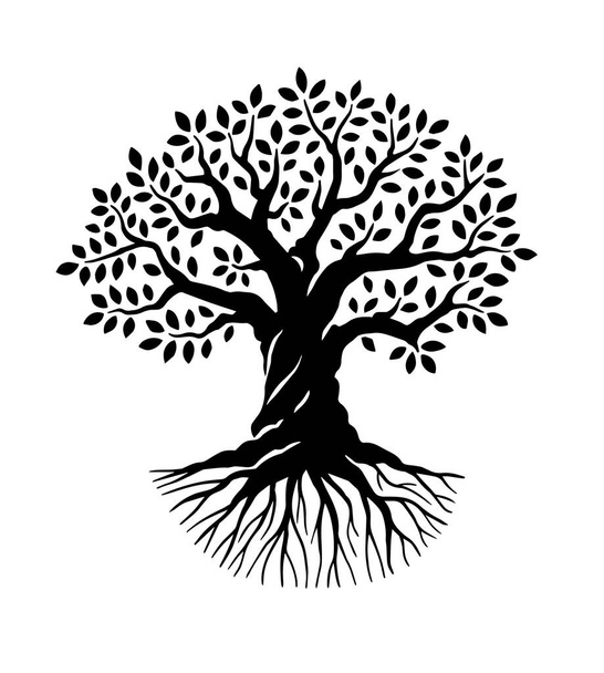 Olivo o quercia con radici. Illustrazione vettoriale in bianco e nero di fata potente eco albero con foglie. Modello di design per bottiglie di olio - Vettoriali, immagini