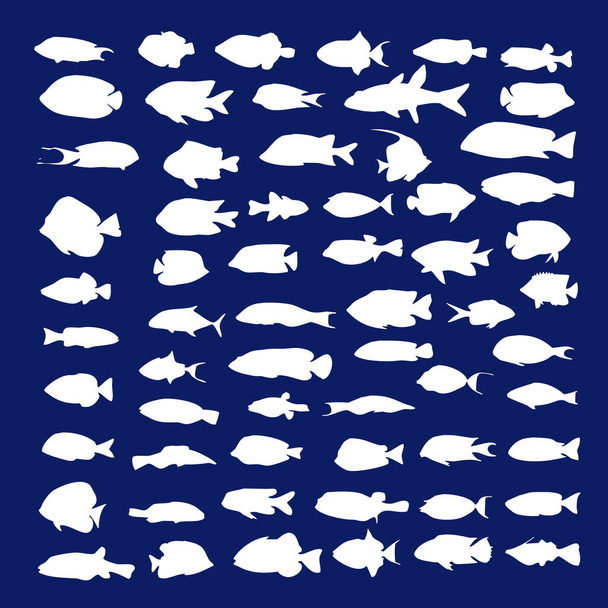 Duży zestaw niedrapieżnych ryb. Szkoła ryb - Wektor, obraz