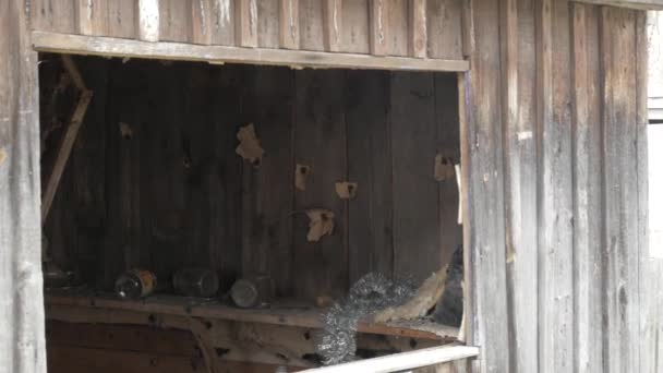 Muur van een houten schuur met kogelgaten - Video