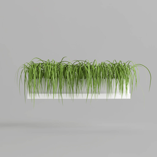 3d illustration of grass in white potted isolated on white background - Fotografie, Obrázek