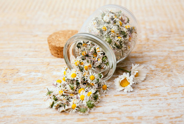 Αποξηραμένο φυτικό φαρμακευτικό φυτό Common Daisy, επίσης γνωστό ως Bellis Perennis. Ανθισμένα άνθη σε γυάλινο βάζο και ξύλινη κουτάλα, έτοιμα για τσάι από βότανα, σε εσωτερικούς χώρους νεκρές φύσεις. - Φωτογραφία, εικόνα