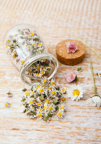 Dry daisy flowers in a glass jar on a dark wooden table. Dried Bellis  perennis flower
