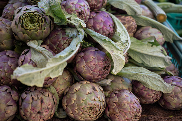 Fresh raw heads of artichokes plants for sale on farmers market in Provence, France - 写真・画像