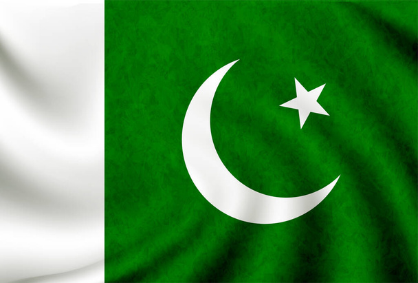 Pakistan Ülke Bayrağı simgesi - Vektör, Görsel