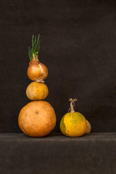 Still life with several pumpkins and sprouted onions - Photo, Image