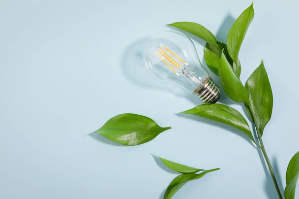 protect earth and environment concept, bulb and plant - 写真・画像