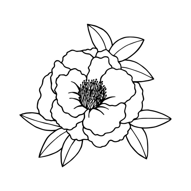 vektor illusztráció egy gyönyörű virág levelekkel - Vektor, kép
