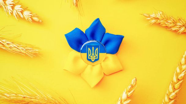 Blue yellow background. Ukrainian flower trident symbol with wheat grain ear isolated on yellow. Love Ukraine concept - Фото, изображение