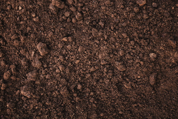 Close-up of fertile loam for the background - Photo, Image