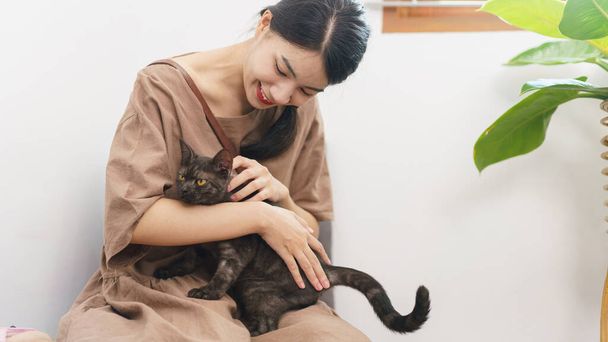 Lemmikki rakastaja käsite, nuori aasialainen nainen istuu sohvalla lattialla silitti turkista kissa ja halaus kissa. - Valokuva, kuva