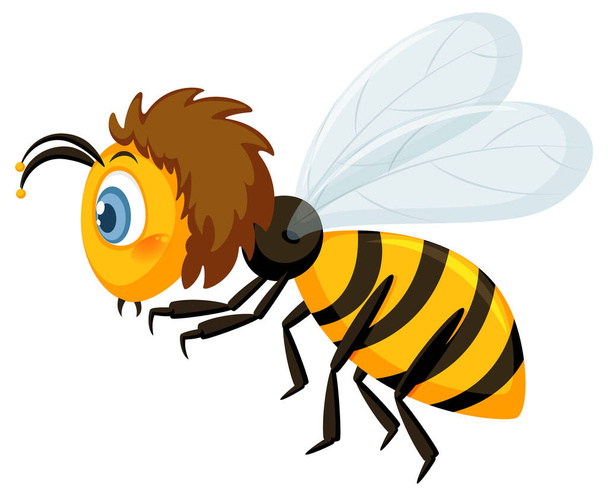 Side view of a bee in cartoon style illustration - Vector, Image