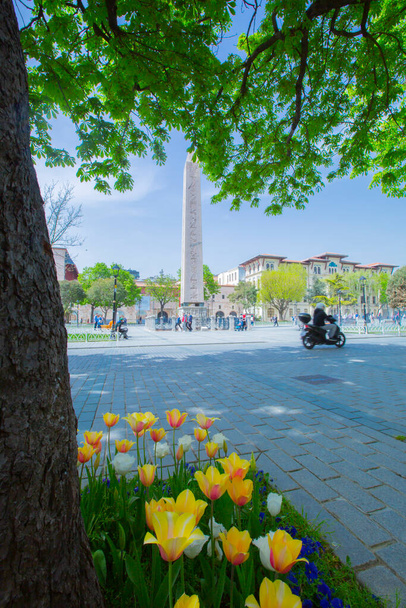Sultanahmet Square and Tulip Festival - Photo, Image