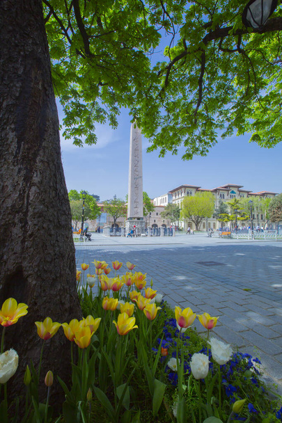 Sultanahmet Square and Tulip Festival - Fotografie, Obrázek